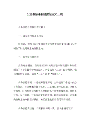 公务接待自查报告范文三篇.docx