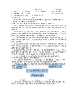商业策划书分析和总结.docx