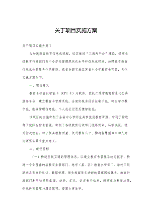 关于项目实施方案.docx