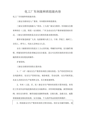 化工厂车间级和班组级内容.docx