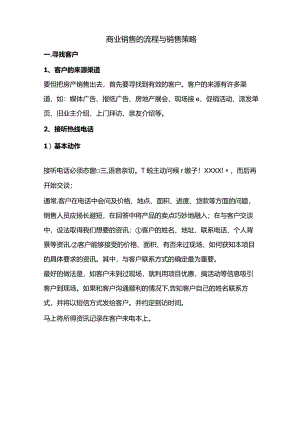 商业地产销售流程与销售策略(精典).docx