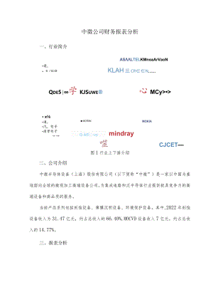 中微公司财务报表分析.docx