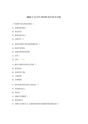 2024年急诊科N1N2级层级考试题.docx