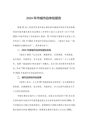2024年市城市自体检报告.docx