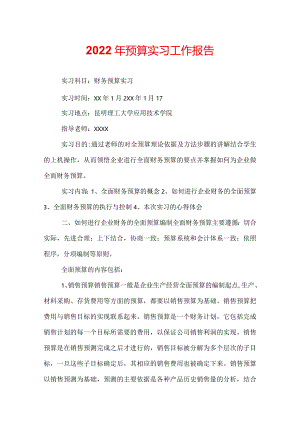 2022年预算实习工作报告.docx