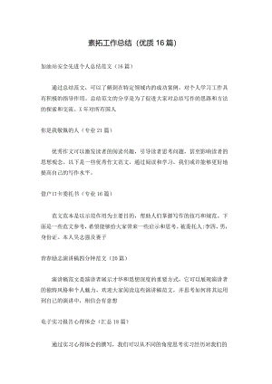 素拓工作总结（优质16篇）.docx