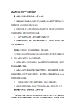 建设集团公司财务电算化管理.docx