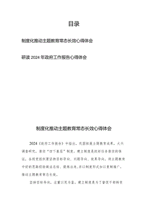 制度化推动主题教育常态长效心得体会+研读2024年政府工作报告心得体会.docx