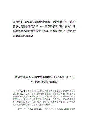 学习贯彻2024年春季学期中青年干部培训班“五个自觉”的明确要求心得体会3篇.docx