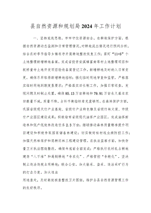 县自然资源和规划局2024年工作计划.docx