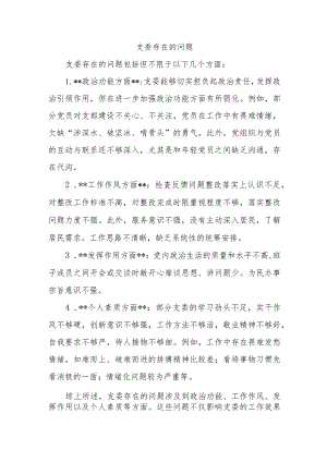 支委存在的问题2.docx