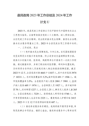 县民政局2023年工作总结及2024年工作计划(20240130).docx