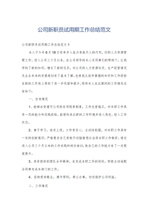 公司新职员试用期工作总结范文.docx