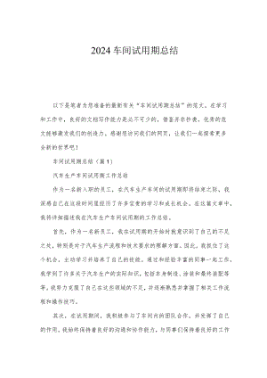 2024车间试用期总结.docx
