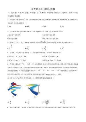 43、九省联考适应性练习01（原卷版）.docx