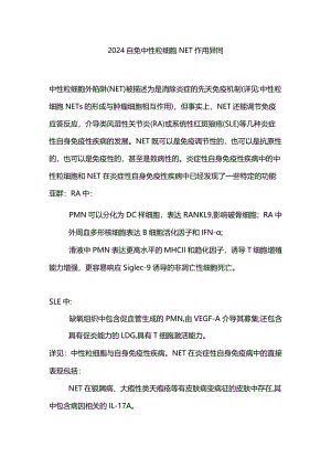 2024自免中性粒细胞NET作用异同.docx