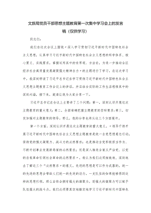 文旅局党员干部思想主题教育第一次集中学习会上的发言稿.docx