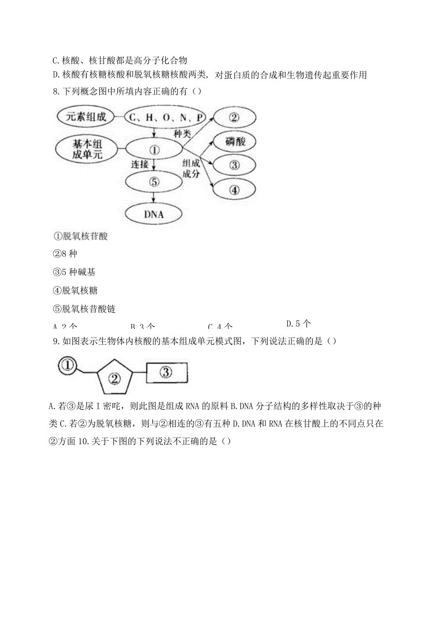 2023-2024学年人教版新教材选择性必修三 第四章第三节 核酸 作业.docx_第2页