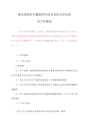 20140811组织生活会及党员民主评议活动建议.docx