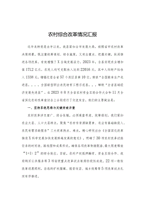 2023年农村综合改革情况汇报（县级）.docx
