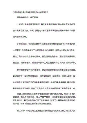市司法局在市委主题教育巡回指导会上的汇报发言.docx
