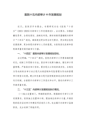 医院十五内部审计工作发展规划.docx