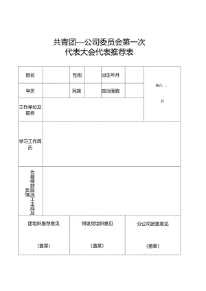 共青团某公司委员会第某次代表大会代表推荐表.docx