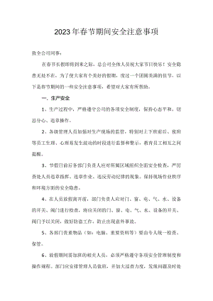 2024年春节期间安全注意事项.docx