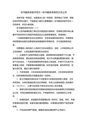 标书服务承诺书范文-标书服务承诺范文怎么写.docx