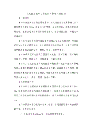 花果园工程项目全面预算管理实施细则.docx