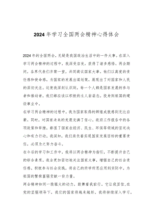 2024年学习全国两会精神心得体会.docx