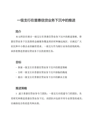 一级支行在普惠信贷业务下沉中的推进.docx