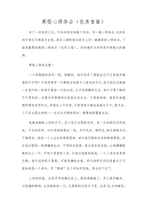 寒假心得体会（优秀5篇）.docx