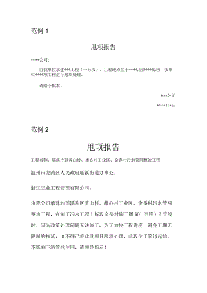 甩项报告.docx