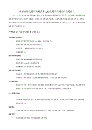 极智应用数据安全网关-多功能数据安全网关产品是什么.docx