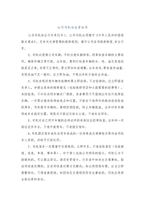 公司司机安全责任书.docx