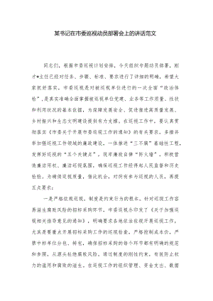 某书记在市委巡视动员部署会上的讲话范文.docx