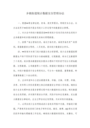 乡镇街道统计数据安全管理办法.docx
