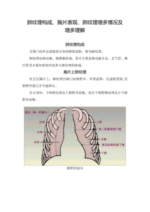 肺纹理构成、胸片表现、肺纹理增多情况及增多理解.docx