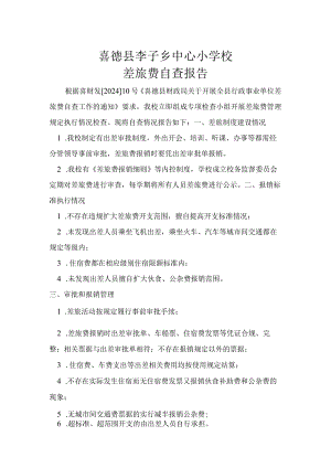李子乡中心小学校差旅费自查报告.docx