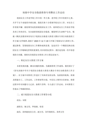 初级中学安全隐患排查专项整治工作总结.docx