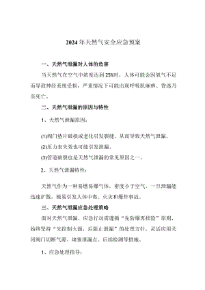 2024年天然气安全应急预案.docx