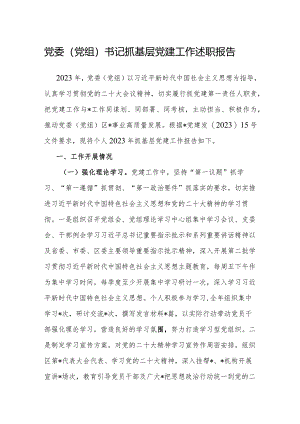 2023年度抓基层党建工作述职报告（党委（党组）书记）.docx