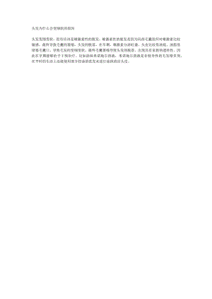 头发为什么会变细软的原因.docx