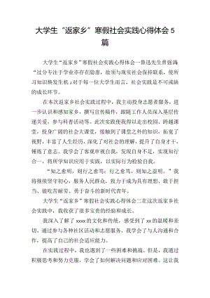 大学生“返家乡”寒假社会实践心得体会5篇.docx