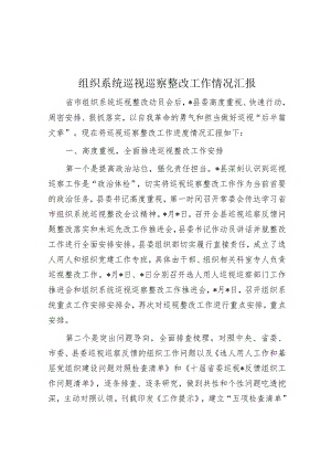 组织系统巡视巡察整改工作情况汇报.docx