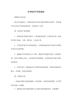 标书知识产权承诺函.docx