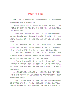 2020初生评语.docx