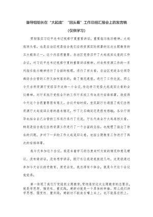 督导组组长在“大起底”“回头看”工作总结汇报会上的发言稿.docx