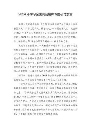 2024年学习全国两会精神专题研讨发言.docx